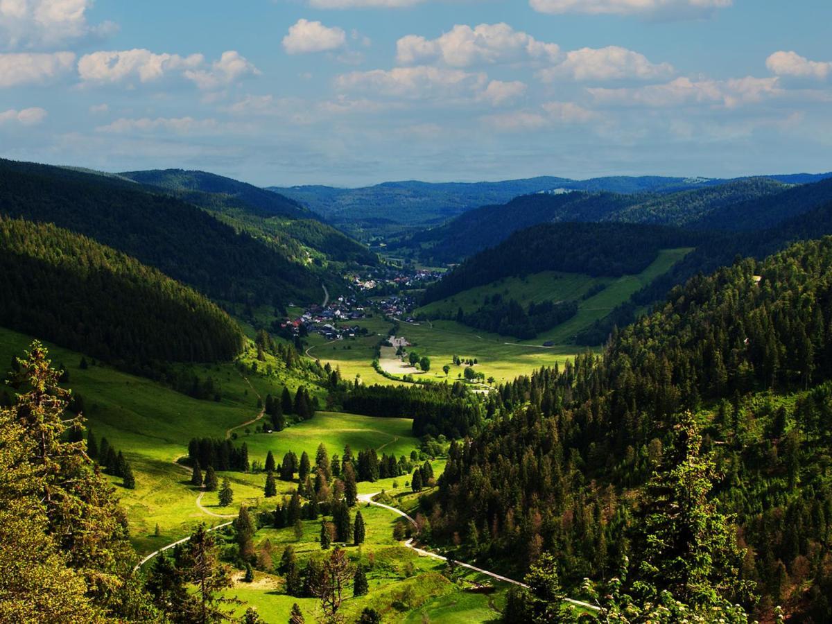 Black Forest Luxury Apartment Waldglueck Mit Sauna Кёнигсфельд-им-Шварцвальд Экстерьер фото